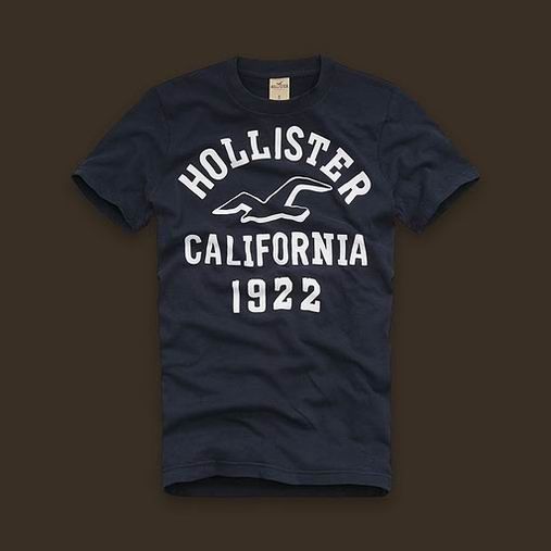 Hollister Men Short T-shirt 20120722 167