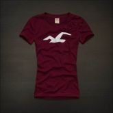 Hollister Women Short T-shirt 20120722 063