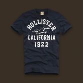 Hollister Men Short T-shirt 20120722 167