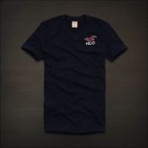 Hollister Men Short T-shirt 20120722 161