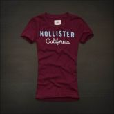 Hollister Women Short T-shirt 20120722 064