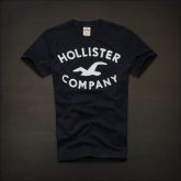 Hollister Men Short T-shirt 20120722 169